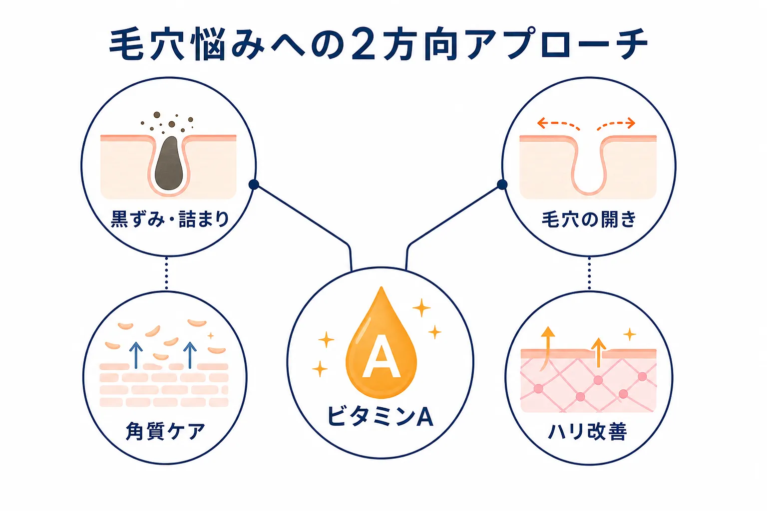 ビタミンAが角質ケアとハリ改善の2方向から毛穴悩みにアプローチする関係を示す図