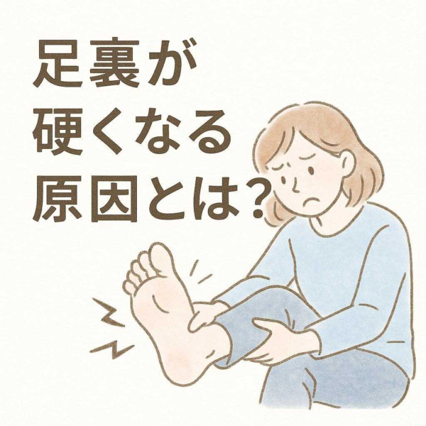 E9570c4ac56a4b3abb9299f0fc8d5668.png